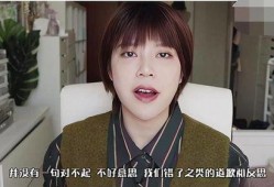 网红刘辉被爆料视频大全,揭秘背后真相与争议