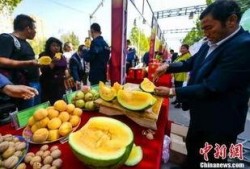 吃瓜最新事件爆料交城,揭秘吃瓜群众最新爆料背后的真相