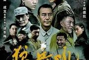 狼兵吼在线观看,热血激战，在线重温传奇战歌