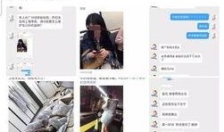 爆料他人视频,网络视频爆料背后的真相与争议